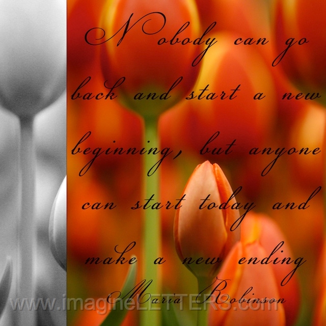 Wall_Art_Alphabet_Photography_Art_ 2626.jpg